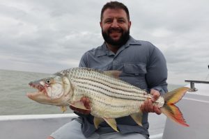 Gaint tigerfish caught in Cahora Bassa Mozambique