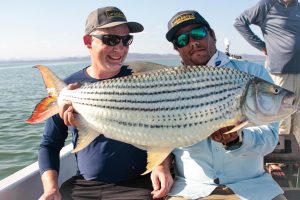 Tigerfish 20lb